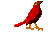 Petirrojo